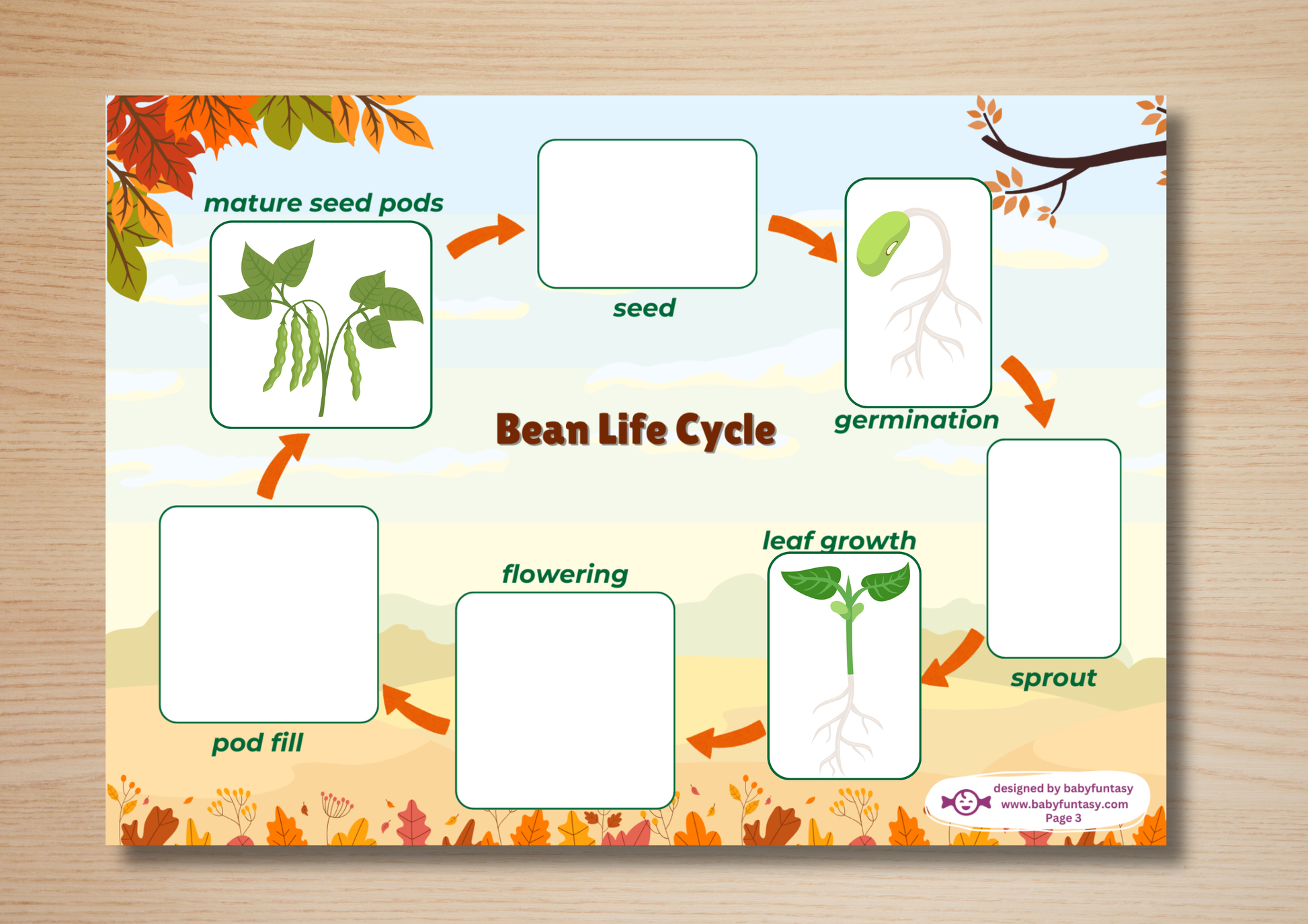 Autumn Busy Book, Baby Funtasy Quiet Book, Bean Life Cycle Activity Page