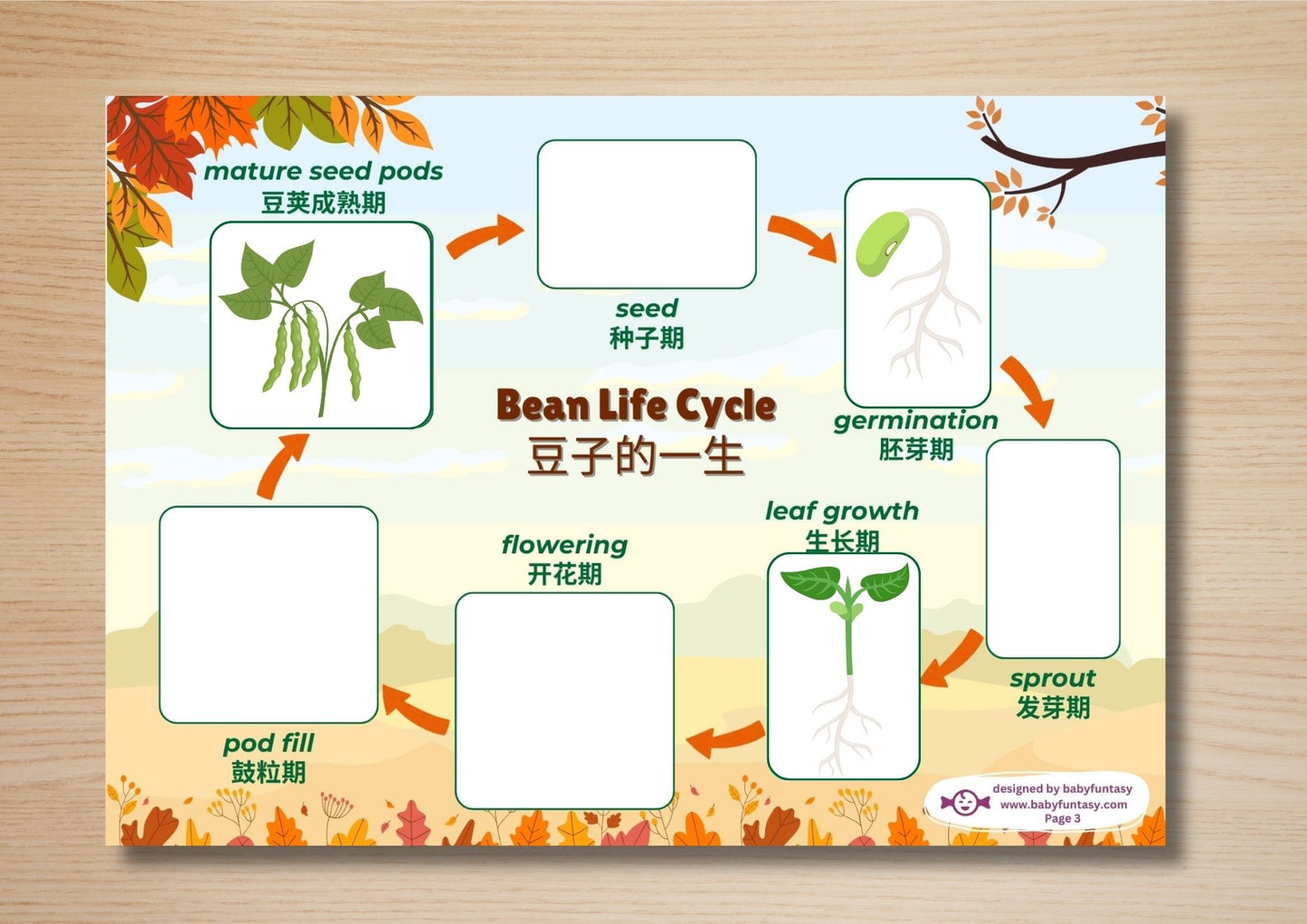 Autumn Busy Book - DIGITAL DOWNLOAD Printable Quiet Book (Bilingual_Chinese)