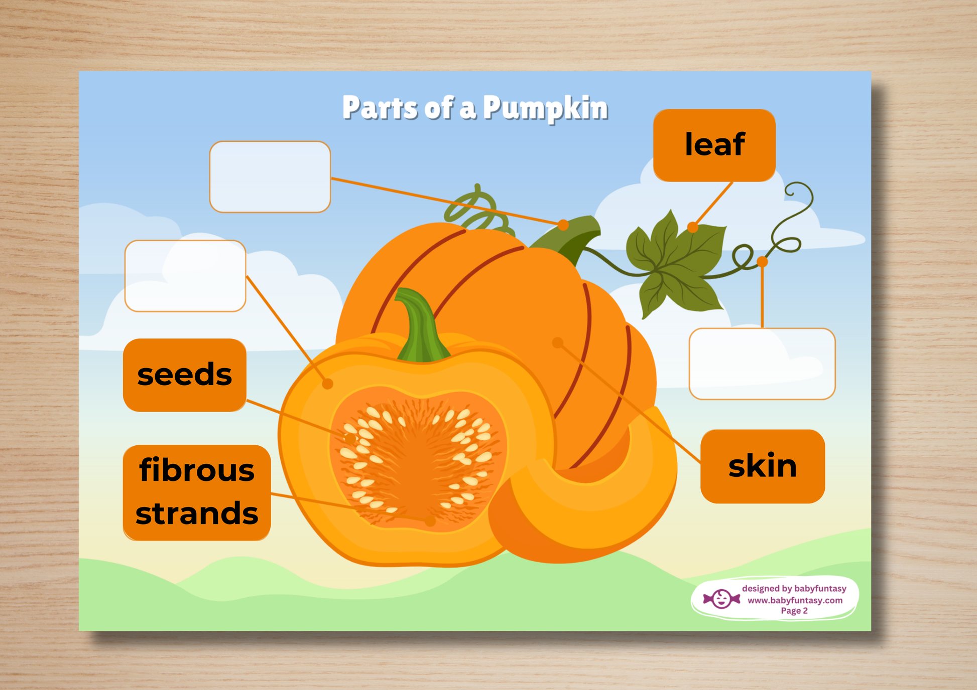 Exploring Busy Book, Baby Funtasy Quiet Book, Parts of a Pumpkin Activity Page