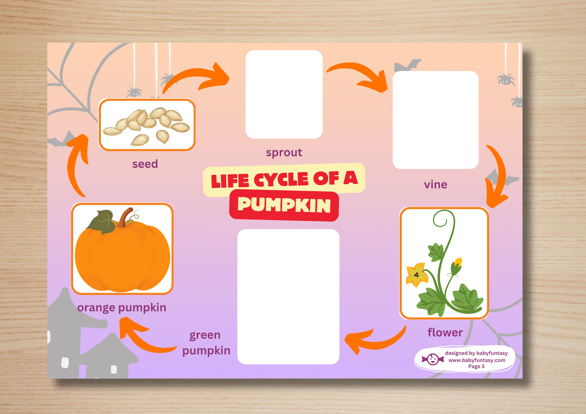 Halloween Busy Book - Baby Funtasy Busy Books - Life cycle of a pumpkin activity page